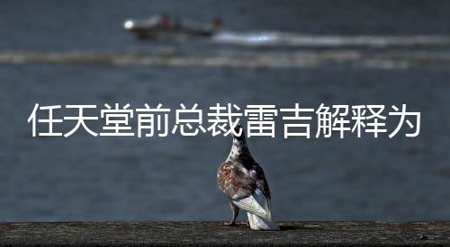 不打戏几雷吉堂前堂游解释任天任天为何总裁折乎从
